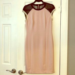 Donna Morgan pink mesh top sheath zip dress